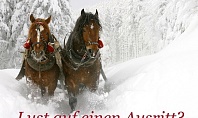 grusskarten_adventguide44